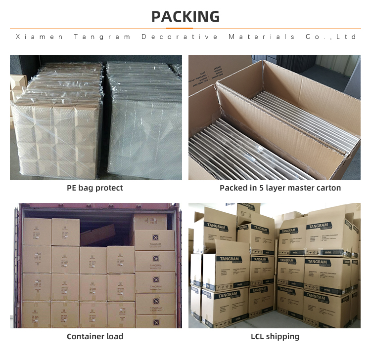 Packing Packing