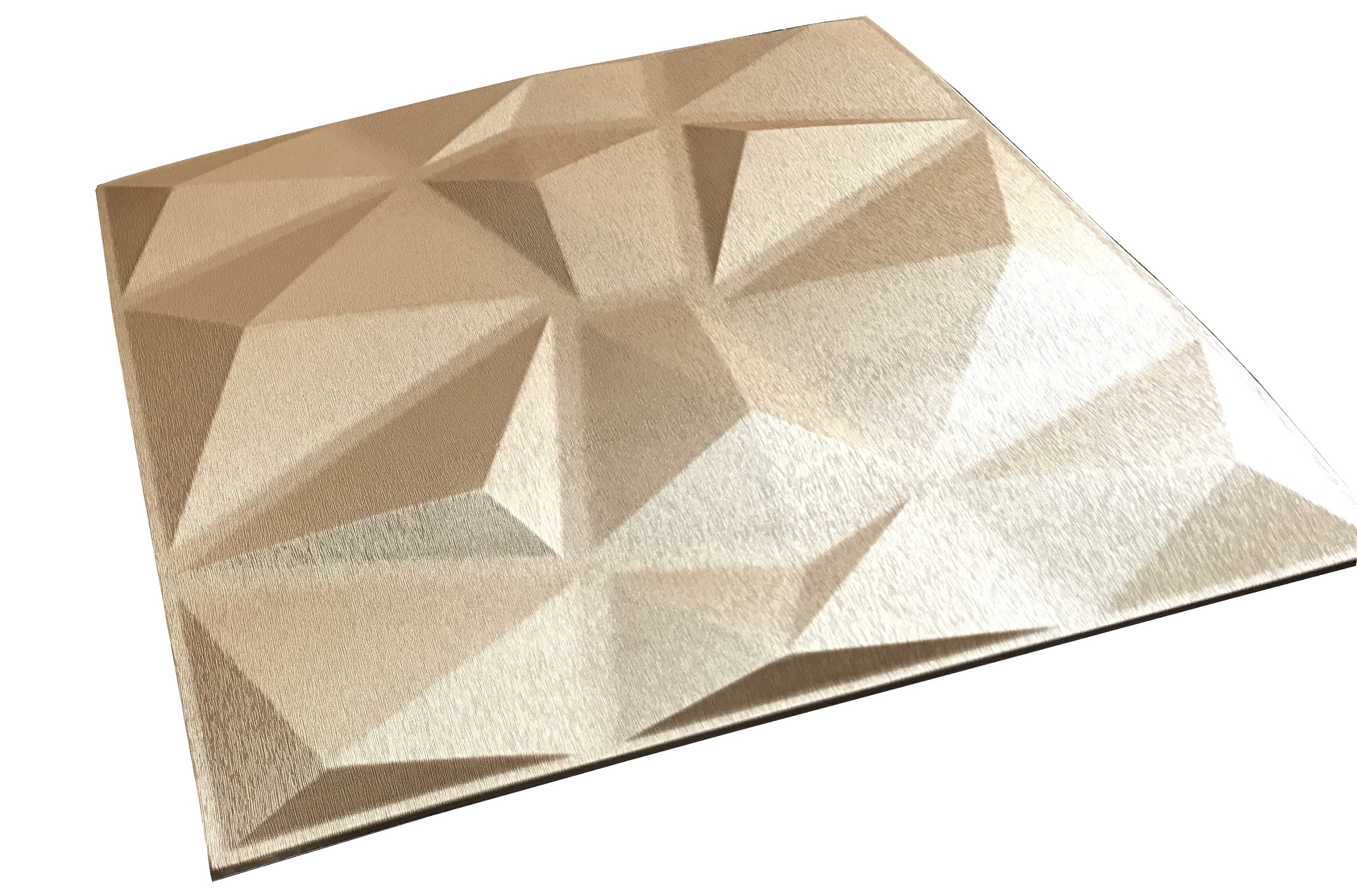 prism leather panel 2
